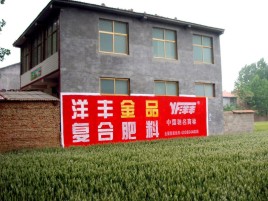 河池如何让墙体广告展现最大化效果