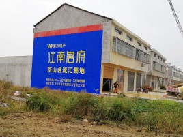 河池农村墙体广告在不同形式上面展现的不同特色