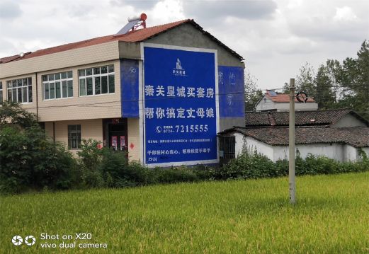 河池决定墙体广告价格的因素有哪些？